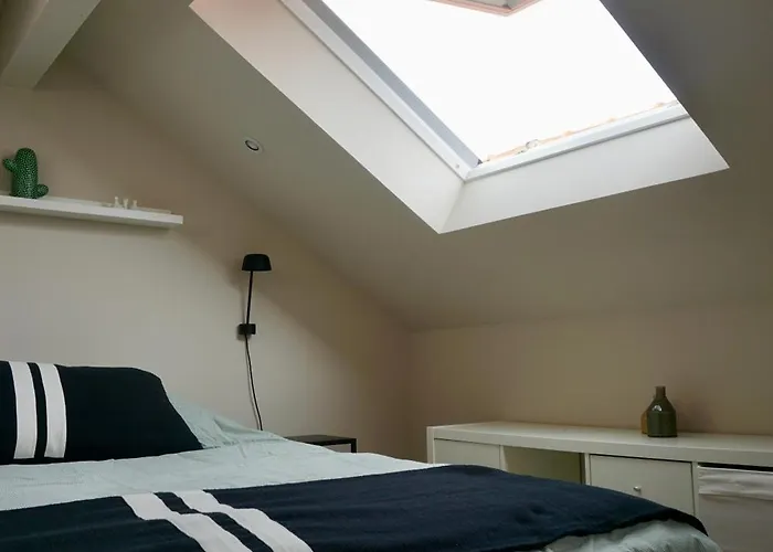 Apartamento Loft Cosy Au Coeur D'arcachon ! *