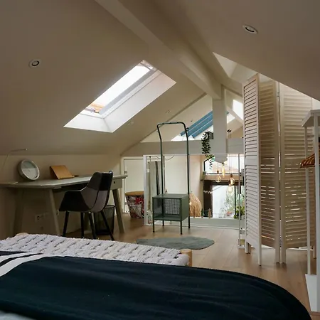 Apartament Loft Cosy Au Coeur D'arcachon !