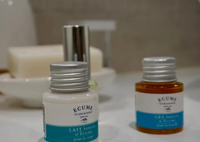 Loft Cosy Au Coeur D'arcachon ! *