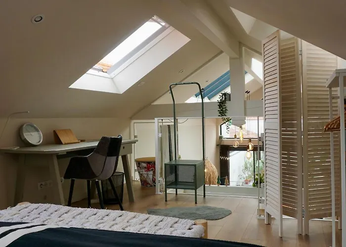 Apartment Loft Cosy Au Coeur D'arcachon !